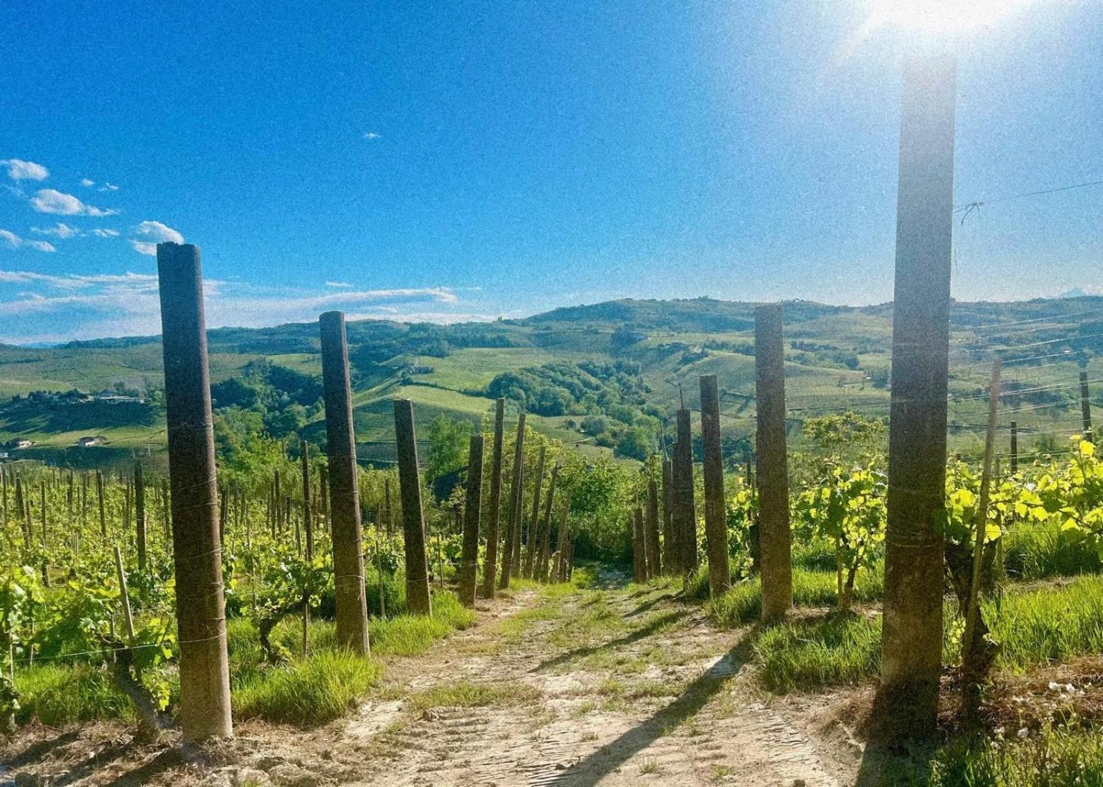 Calosso Wine View Escape Zewnętrze zdjęcie